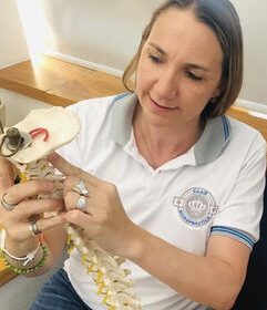 Club Quiropractico (5)